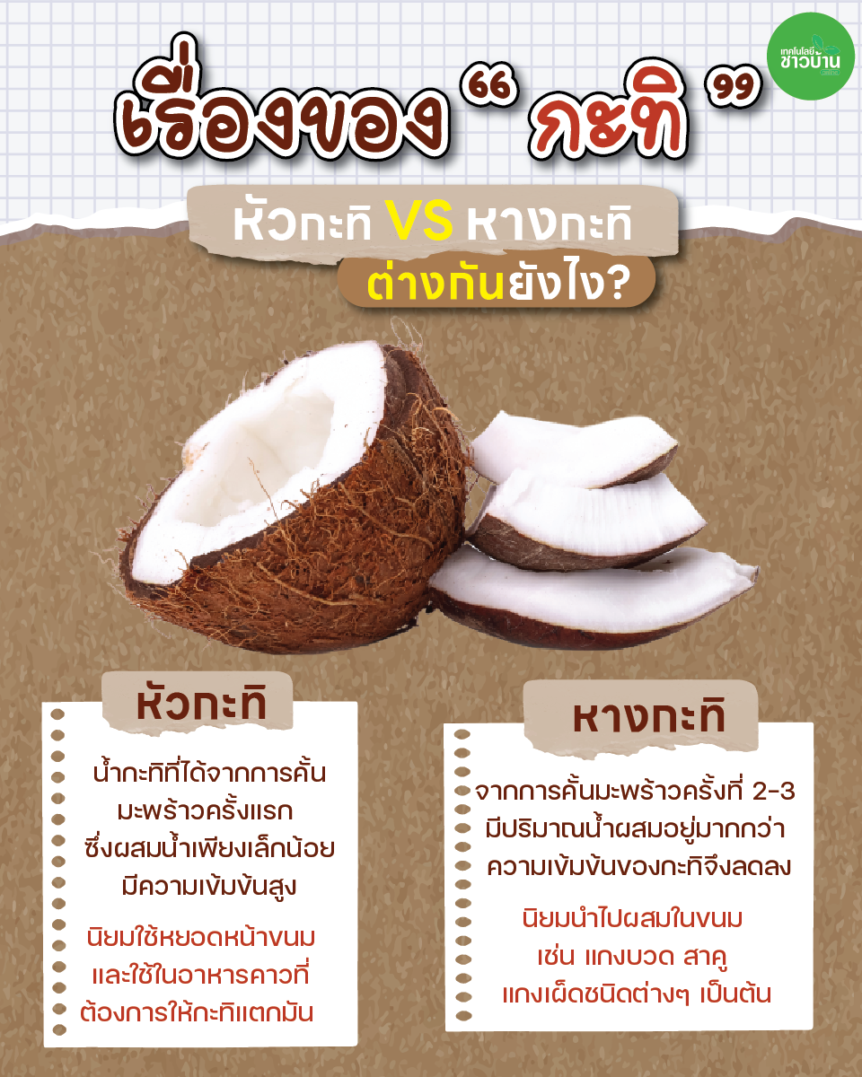 เรื่องของกะทิ “หัว-หาง” ต่างกันยังไง