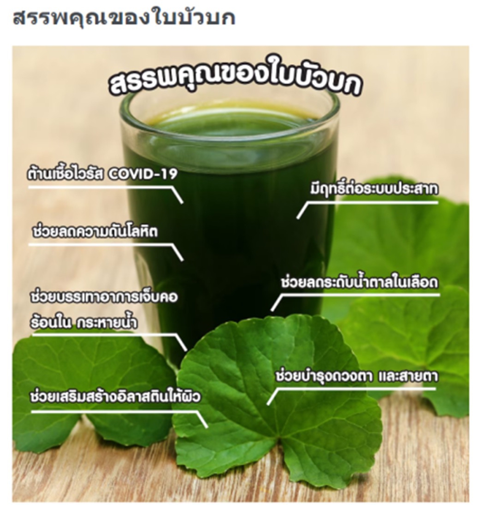 7 ประโยชน์จากใบบัวบก และไอเท็มสารสกัดจากใบบัวบก