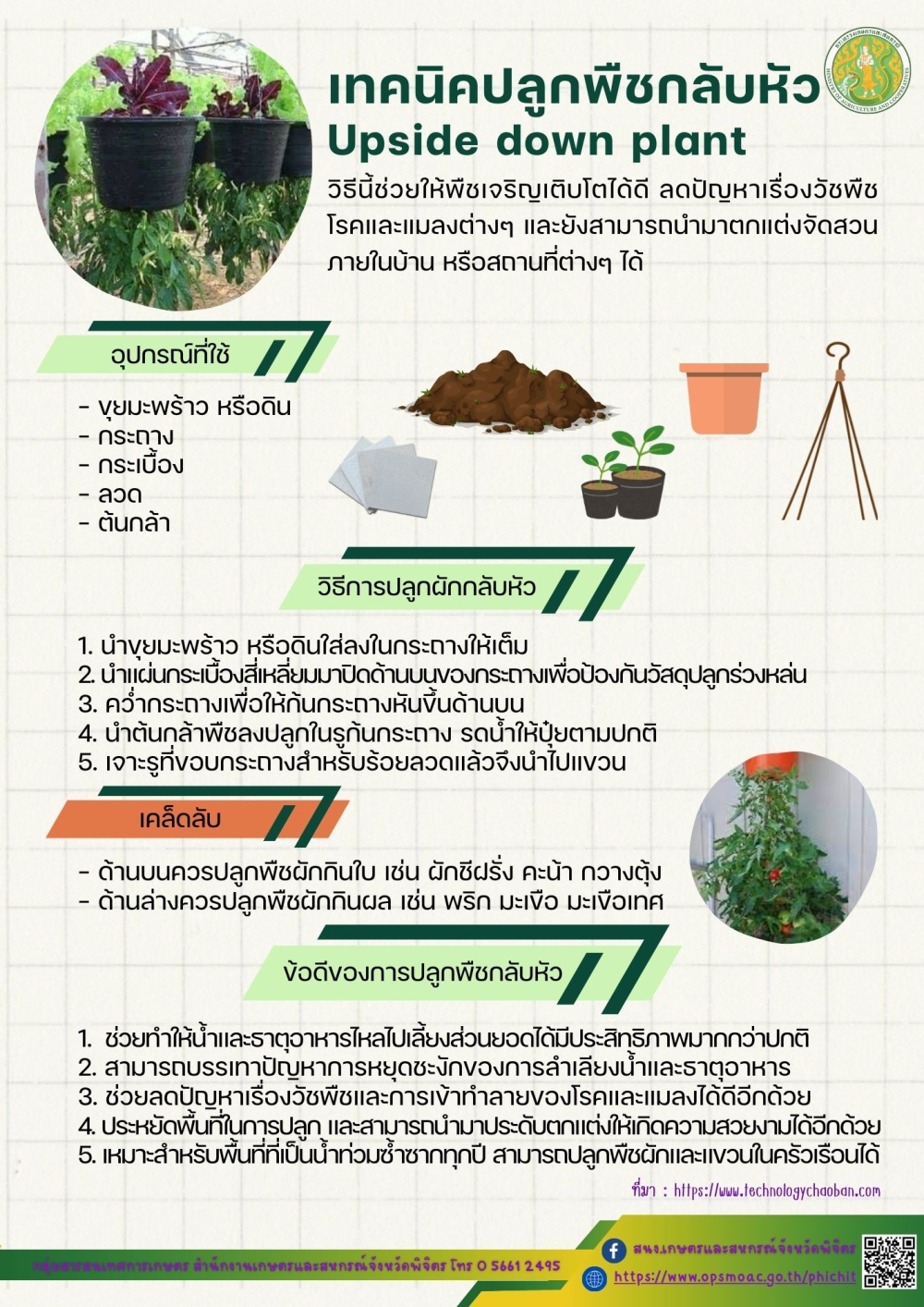 เทคนิคปลูกพืชกลับหัว (Upside down plant)