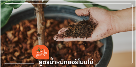 สูตรน้ำหมักฮอร์โมนไข่