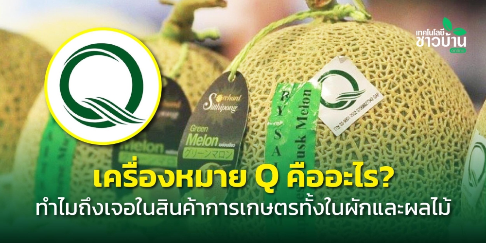 เครื่องหมายQคืออะไร?ทำไมถึงเจอในสินค้าการเกษตรทั้งผักและผลไม้