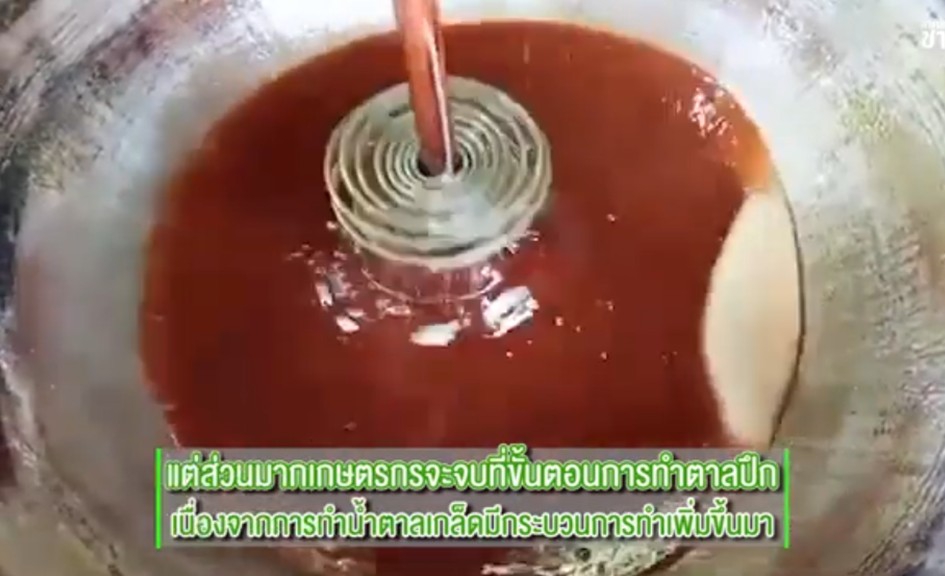 การทำน้ำตาลจาก จากไร่จาก 100 ปี | เทคโนโลยีชาวบ้าน