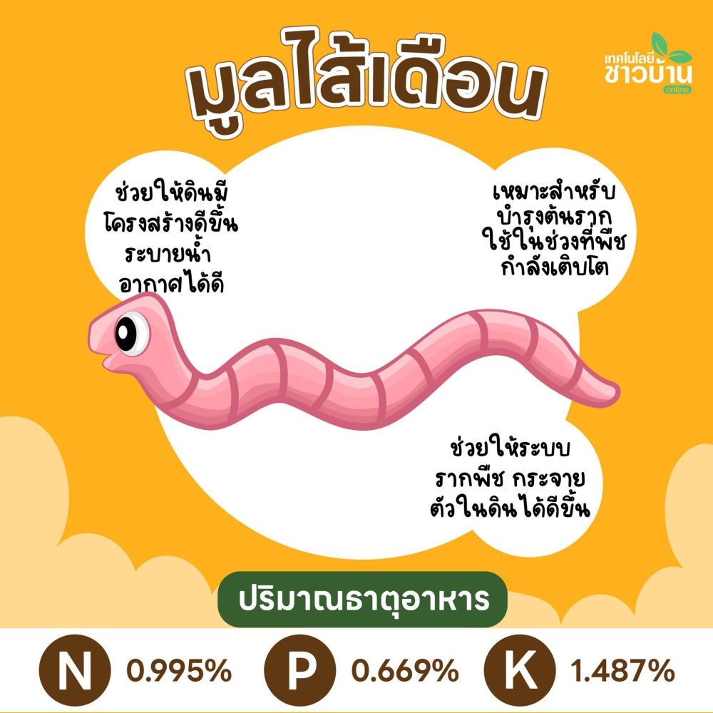 มูยใส้เดือน