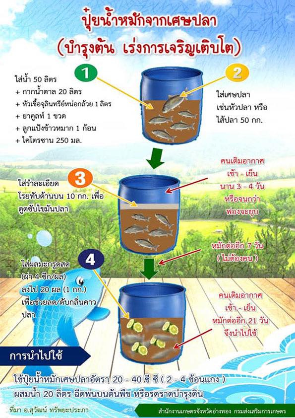 ปุ๋ยน้ำหมักจากเศษปลา บำรุงต้น เร่งการเจริญเติบโต