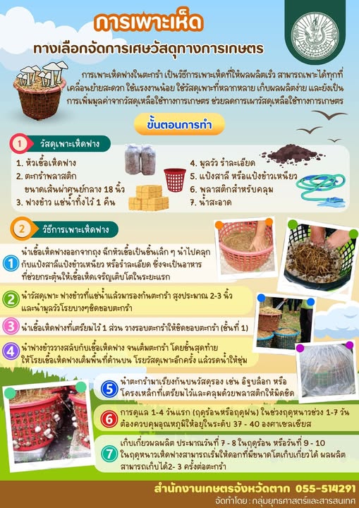 การนำเศษวัสดุทางการเกษตรมาเพาะเห็ด