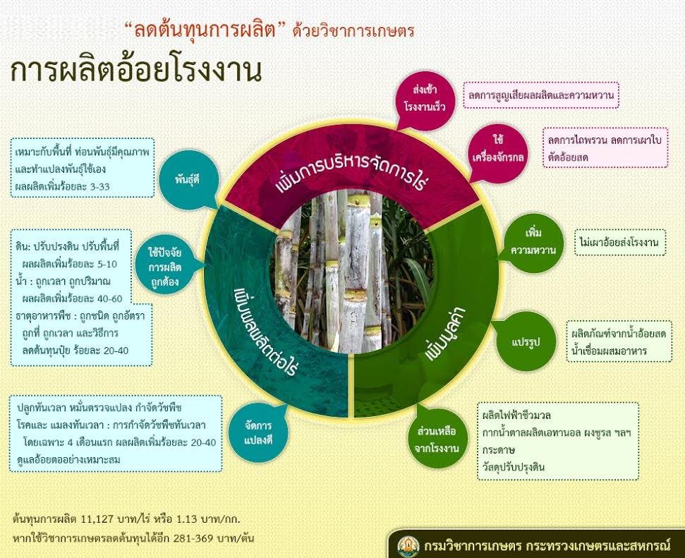 ลดต้นทุนการผลิตอ้อยโรงงาน