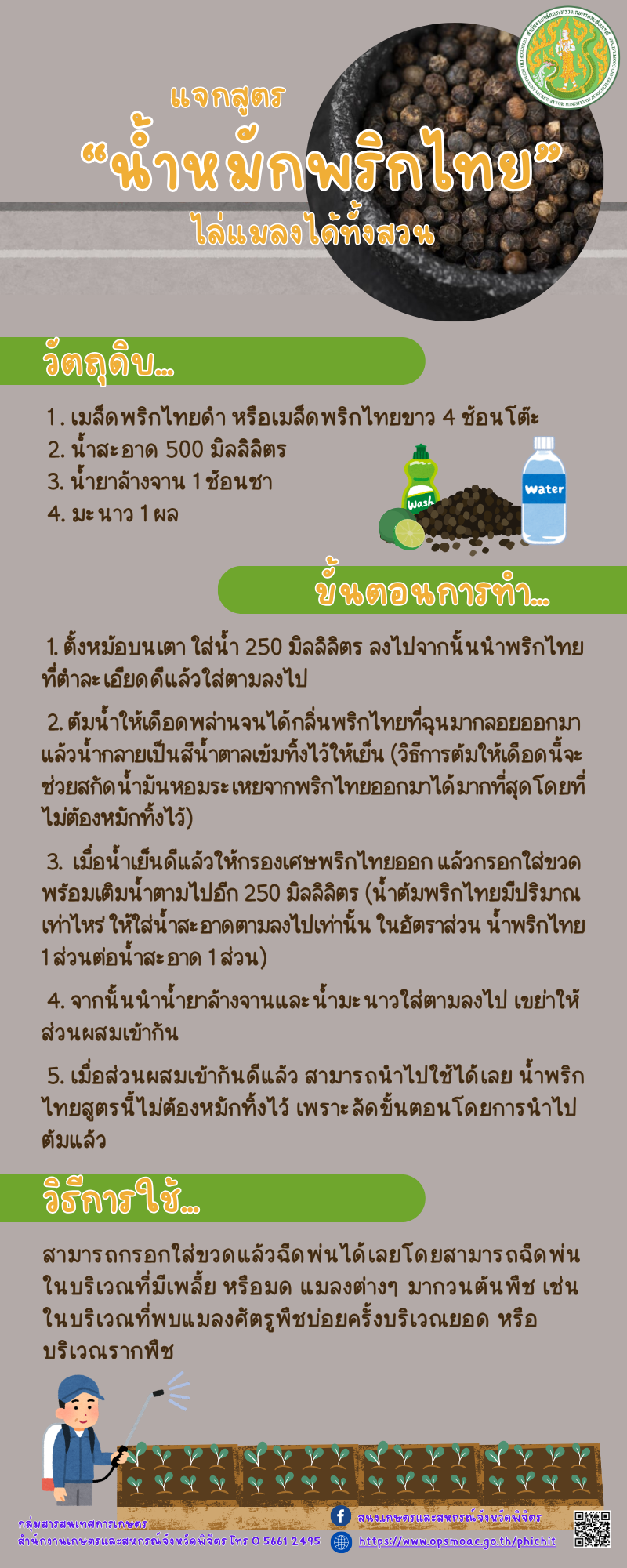 แจกสูตร “น้ำหมักพริกไทย” ไล่แมลงได้ทั้งสวน