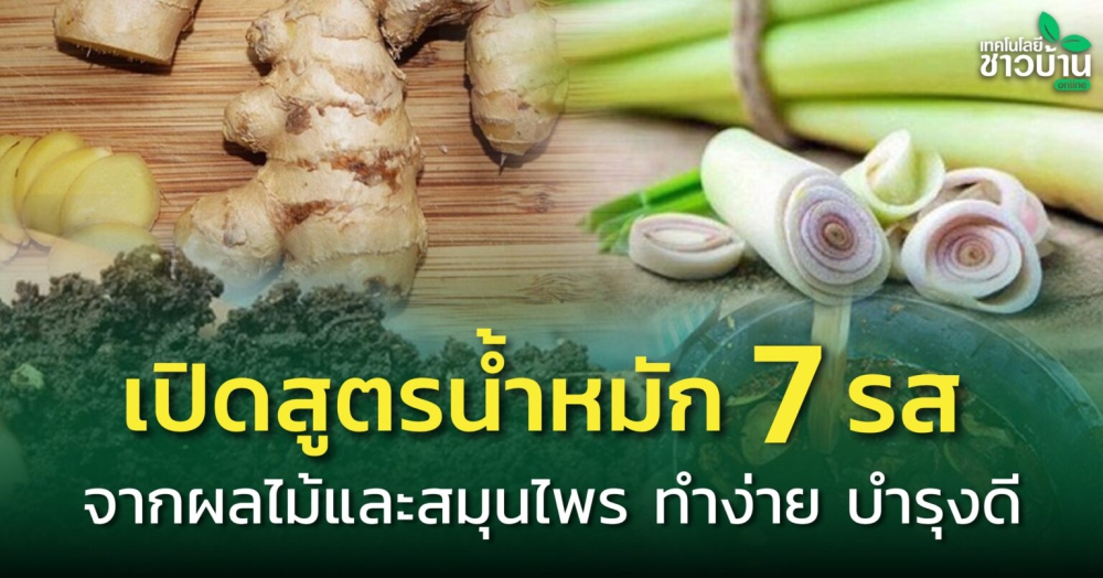 เปิดสูตรน้ำหมัก 7 รสจากผลไม้และสมุนไพร ทำง่าย บำรุงดี