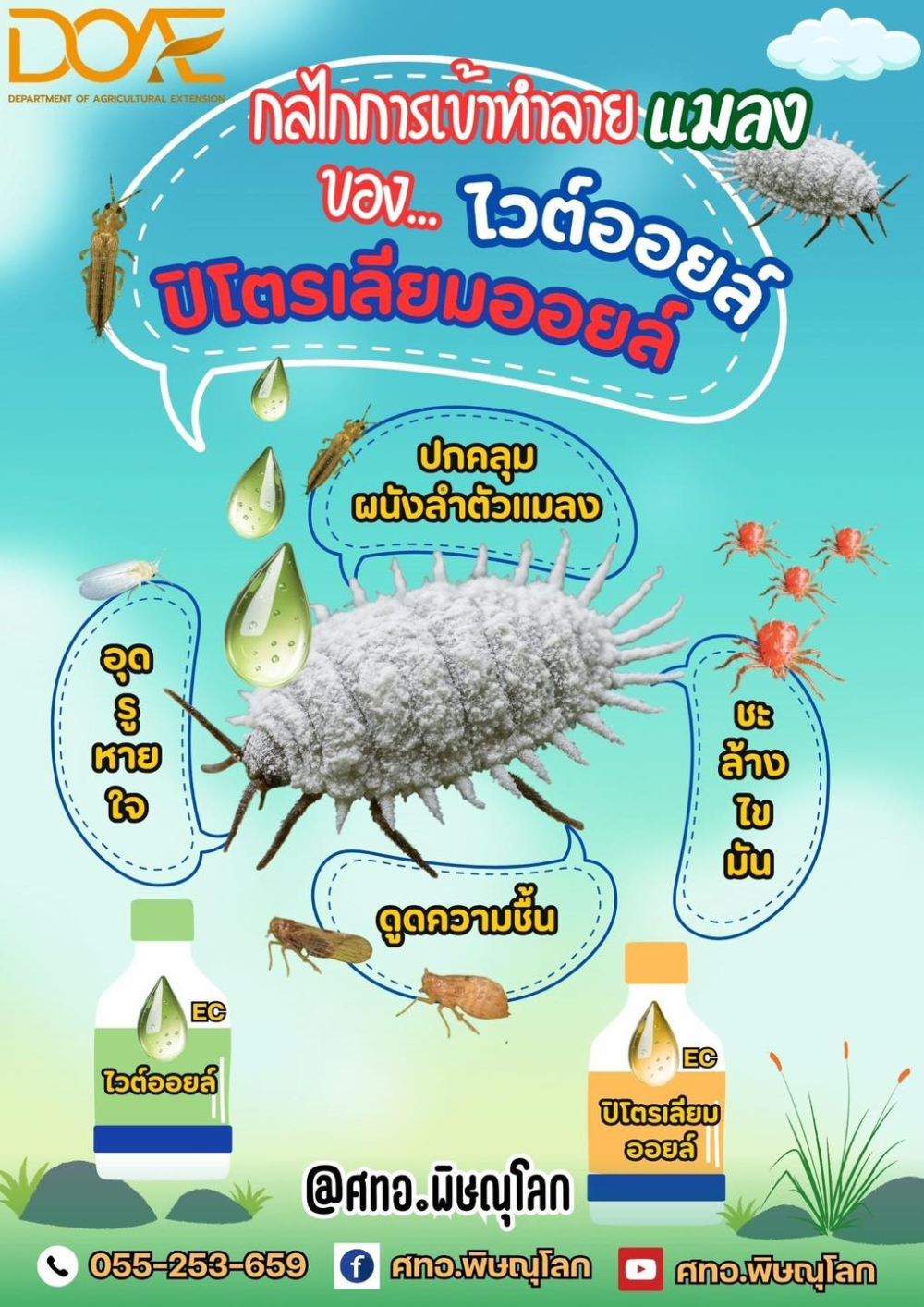 กลไกการเข้าทำลายแมลงของ