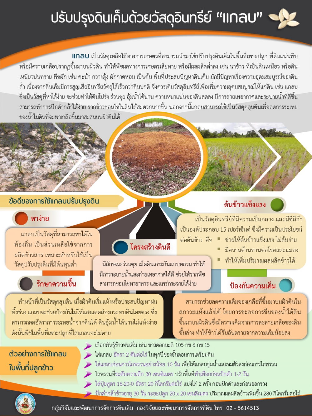 ปรับปรุงดินเค็มด้วยวัสดุอินทรีย์ แกลบ