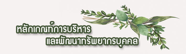 หลักเกณฑ์การบริหารและพัฒนาทรัพยากรบุคคล