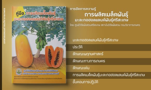 คู่มือการผลิตเมล็ดพันธุ์มะละกอฮอลแลนด์พันธุ์ศรีสะเกษ