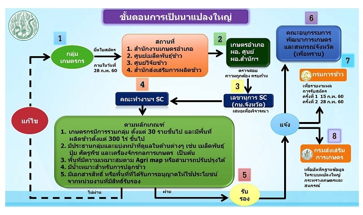 ขั้นตอนการเป็นนาแปลงใหญ่