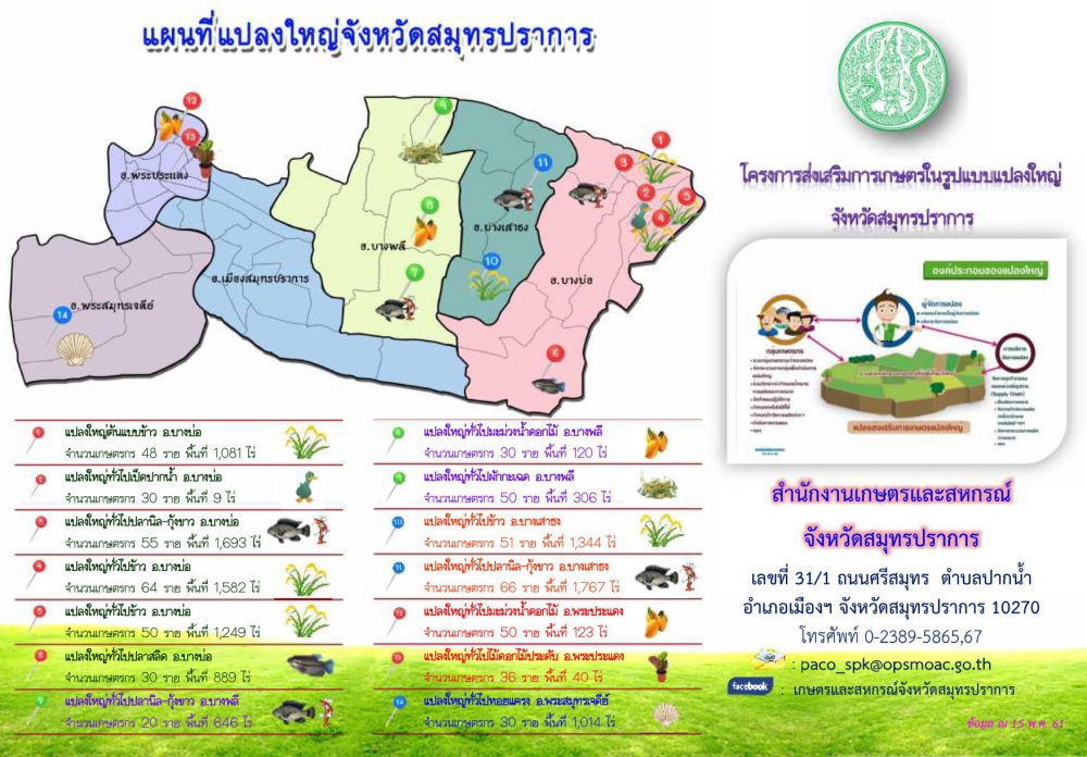 โครงการส่งเสริมการเกษตรในรูปแบบแปลงใหญ่