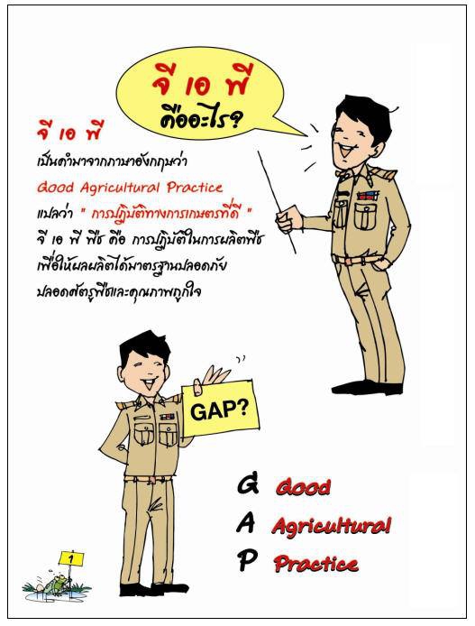 GAPคืออะไร????เกษตรกรได้ประโยชน์อย่างไรจากการปลูกพืช