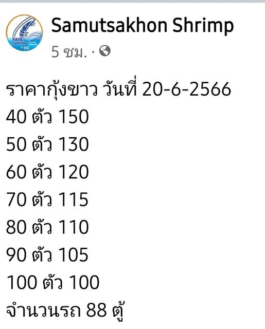 ราคากุ้งขาว วันที่ 20 มิถุนายน 2566