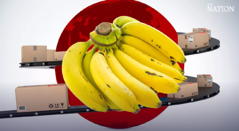 Thai banana producers urged to target Japanese market