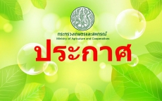 ประกาศงบทดลองเดือนมีนาคม 2567