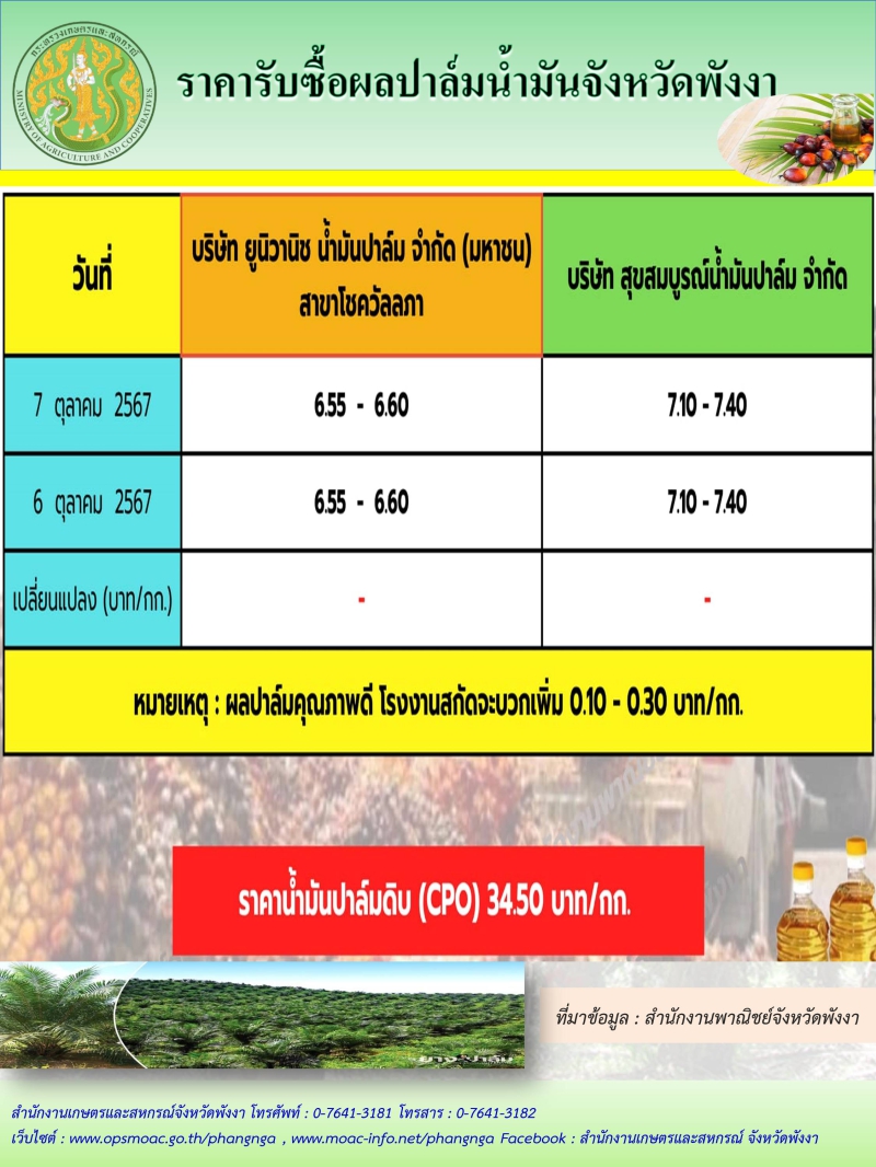 ราคารับซื้อผลปาล์มน้ำมันจังหวัดพังงา