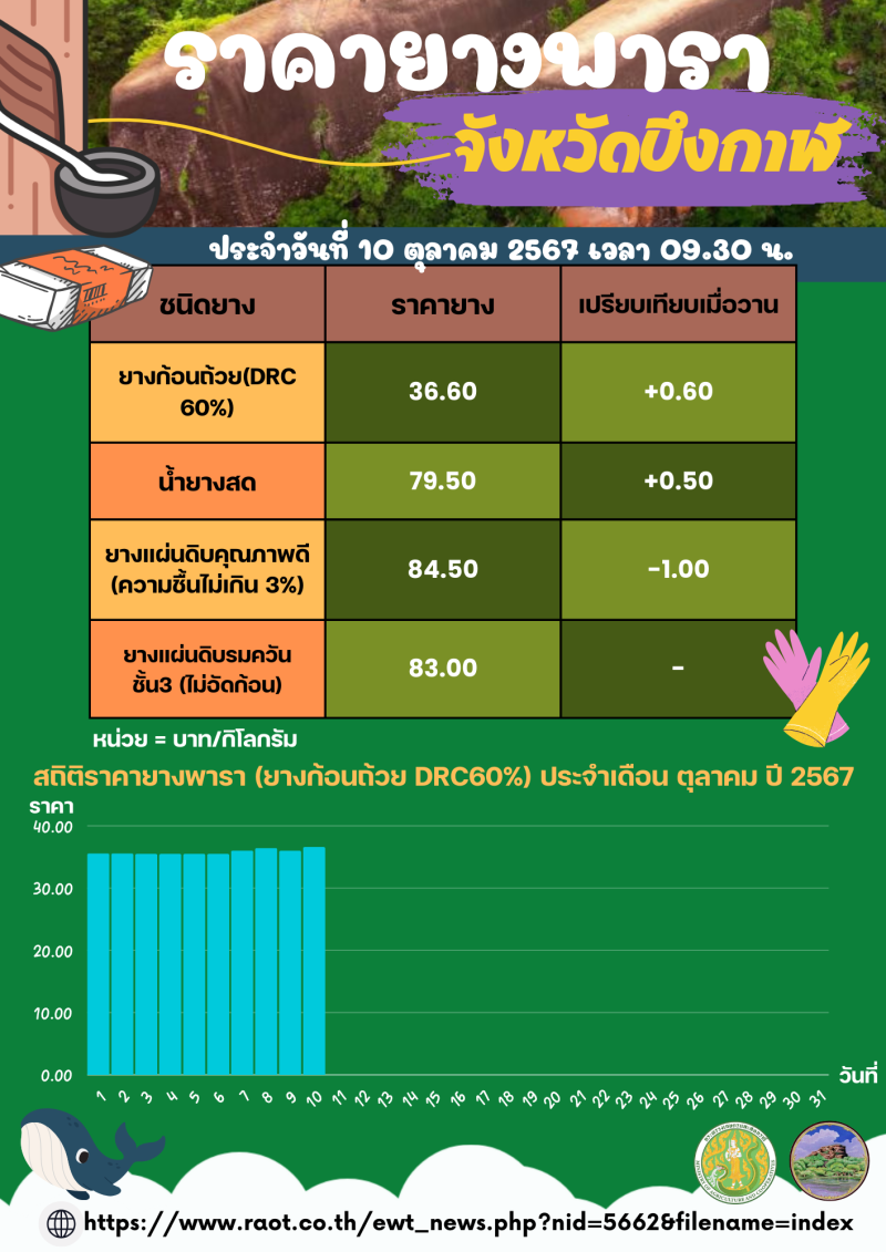 ราคายางพาราจังหวัดบึงกาฬ ประจำวันที่ 10 ตุลาคม 2567