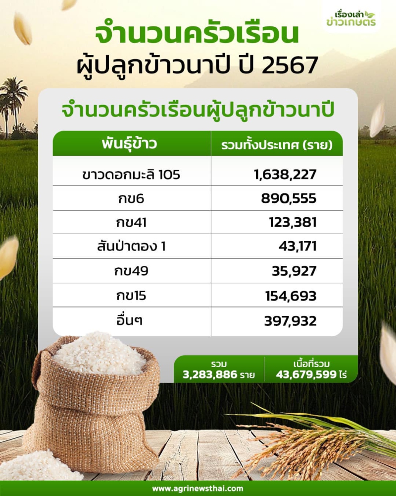 สถิติผู้ปลูกข้าวนาปี ปี 2567