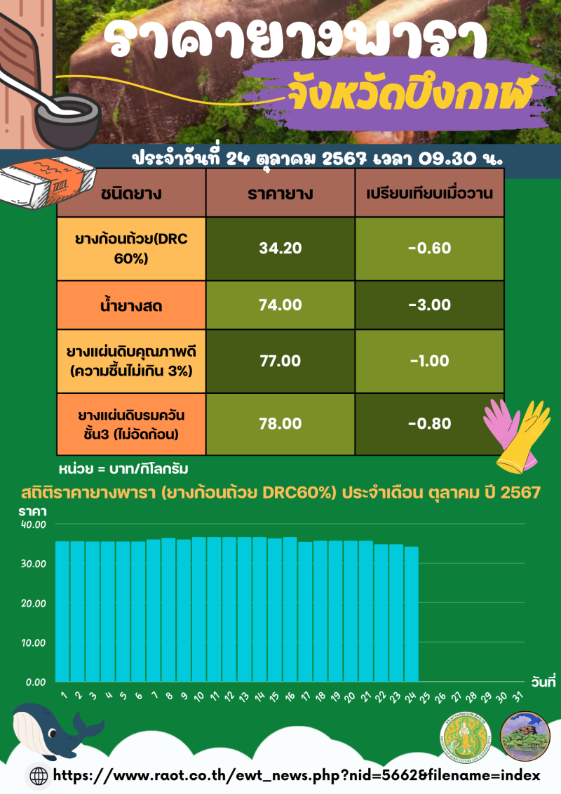 ราคายางพาราจังหวัดบึงกาฬ ประจำวันที่ 24 ตุลาคม 2567