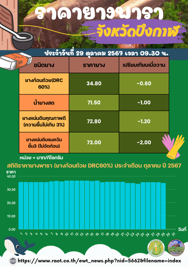 ราคายางพาราจังหวัดบึงกาฬ ประจำวันที่ 29 ตุลาคม 2567