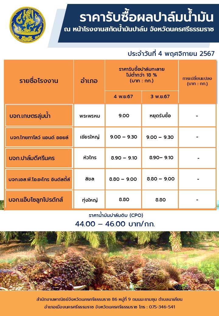 ราคารับซื้อผลปาล์มน้ำมัน