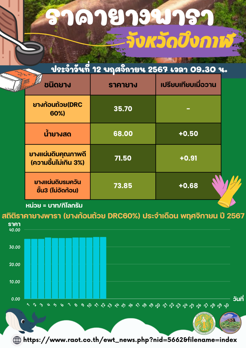 ราคายางพาราจังหวัดบึงกาฬ ประจำวันที่ 12 พฤศจิกายน 2567