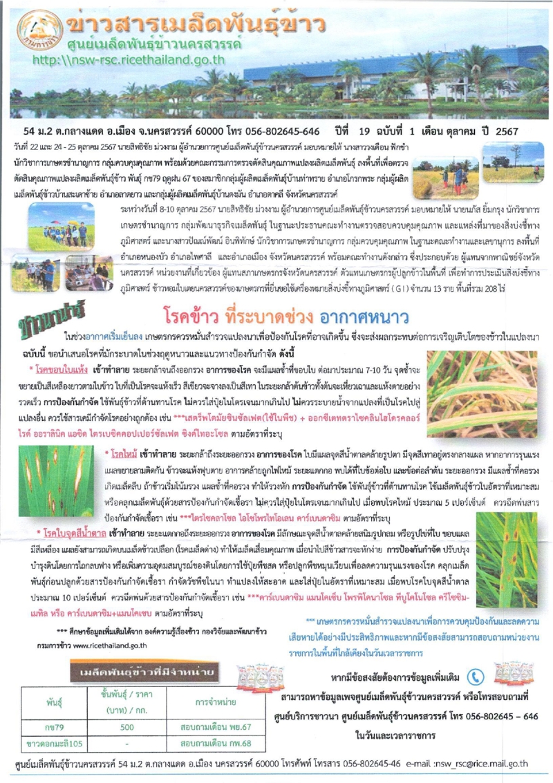 ข่าวสารเมล็ดพันธ์ุข้าว ปีที่ 19 ฉบับที่ 1 เดือนตุลาคม 2567