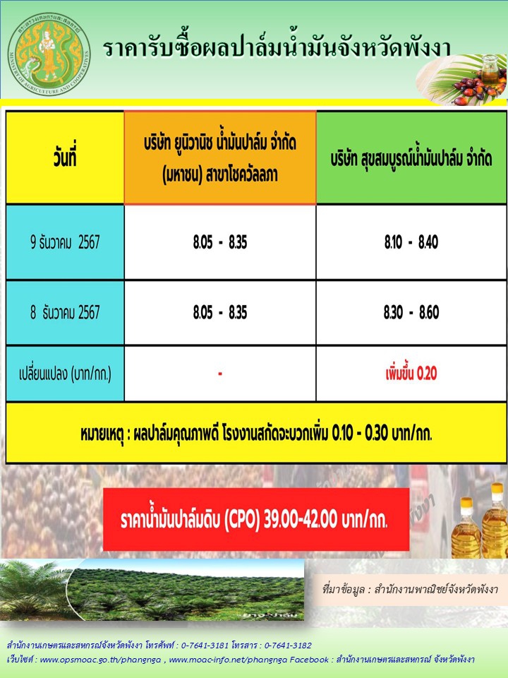 ราคารับซื้อผลปาล์มน้ำมันจังหวัดพังงา