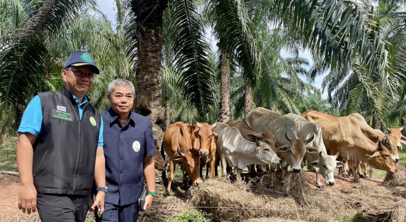 นายวุฒิพงศ์เนียมหอมผู้ตรวจราชการกระทรวงเกษตรและสหกรณ์