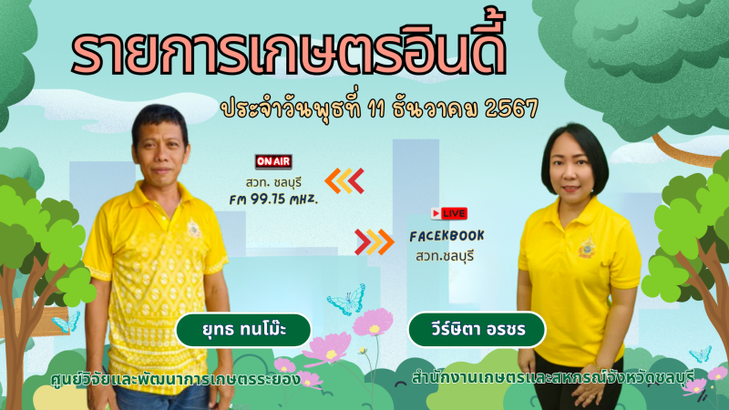 รายการ เกษตรอินดี้ ประจำวันพุธที่ 11 ธันวาคม 2567