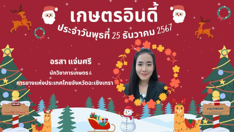 รายการ เกษตรอินดี้ ประจำวันพุธที่ 25 ธันวาคม 2567