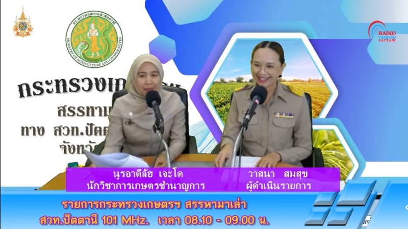 วันจันทร์ที่20มกราคม2568สำนักงานเกษตรและสหกรณ์จังหวัดปัตตานี