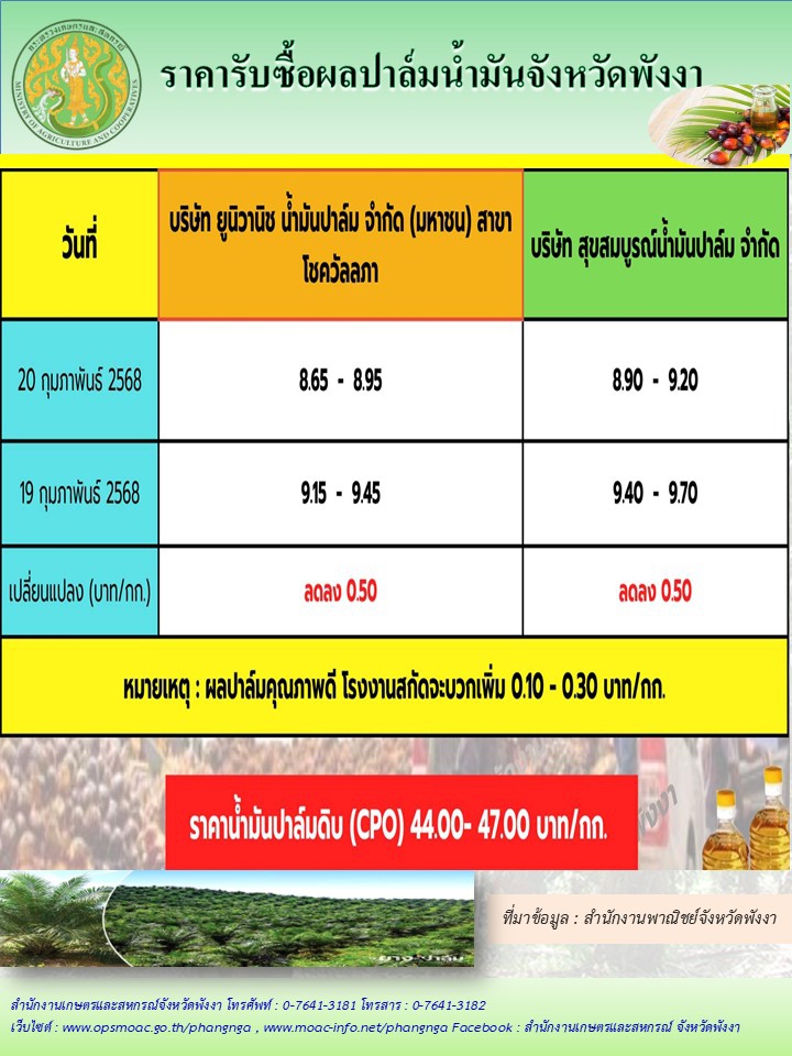 ราคารับซื้อผลปาล์มน้ำมันจังหวัดพังงา