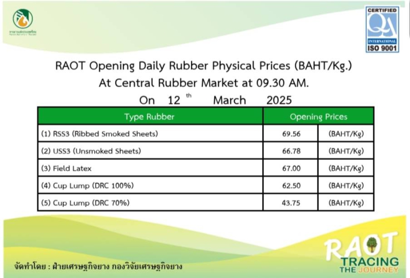 ราคากลางยางพารา ประจำวันที่ 12 มีนาคม 2568