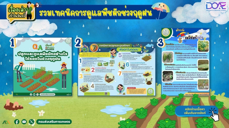 “เทคนิคการดูแลพืชผักช่วงฤดูฝน”