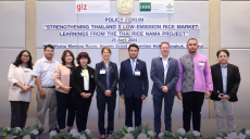 Transforming Thailands rice sector toward low emissions