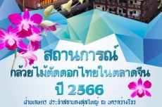 สถานการณ์กล้วยไม้ตัดดอกไทยในตลาดจีน ปี 2566