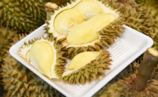 Thai export-grade durians in Eastern region shows sustained growth