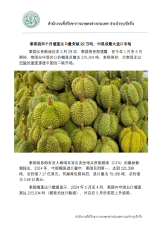 泰国前四个月榴莲出口量突破22万吨，中国成最大进口市场