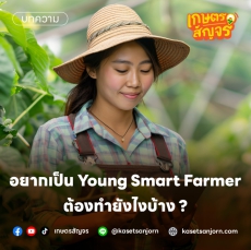 อยากเป็น Young Smart Farmer ต้องทำยังไงบ้าง