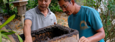 Beekeeping helps villagers tend coastal forests in Thai mangrove hotspot