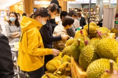 Chinas summer durian market heats up as Thailand, Vietnam vie for top spot