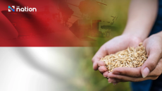 Thai rice exports soar in June thanks to Indonesian demand boost