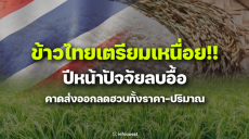 ZoomIn:ข้าวไทยเตรียมเหนื่อย!!