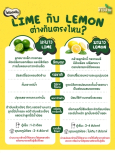 LIME กับ LEMON ต่างกันอย่างไร