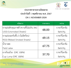 ราคากลางยางพารา ประจำวันที่ 1 พฤศจิกายน 2567