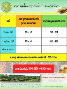 ราคารับซื้อผลปาล์มน้ำมันจังหวัดพังงา